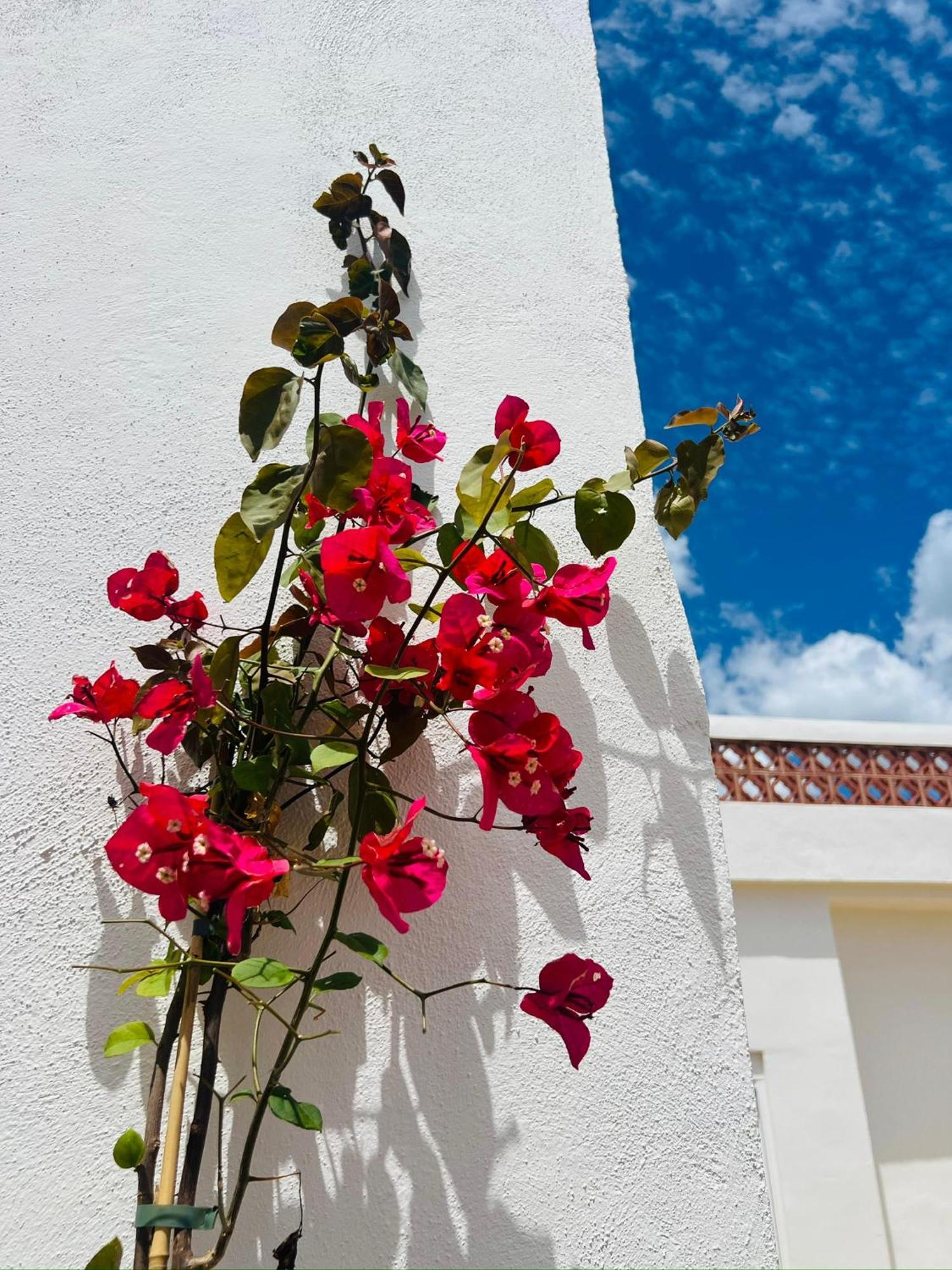 Appartement Templo Sotogrande Extérieur photo